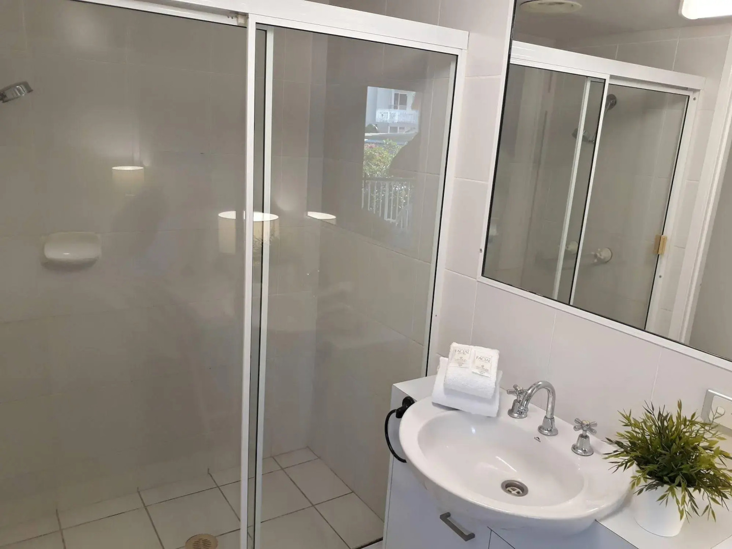 Pandanus Coolum Beach