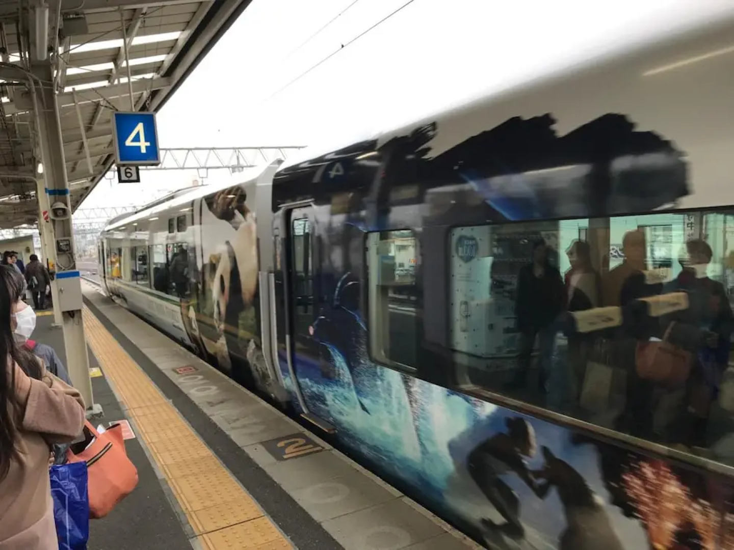 Guest House Branchee