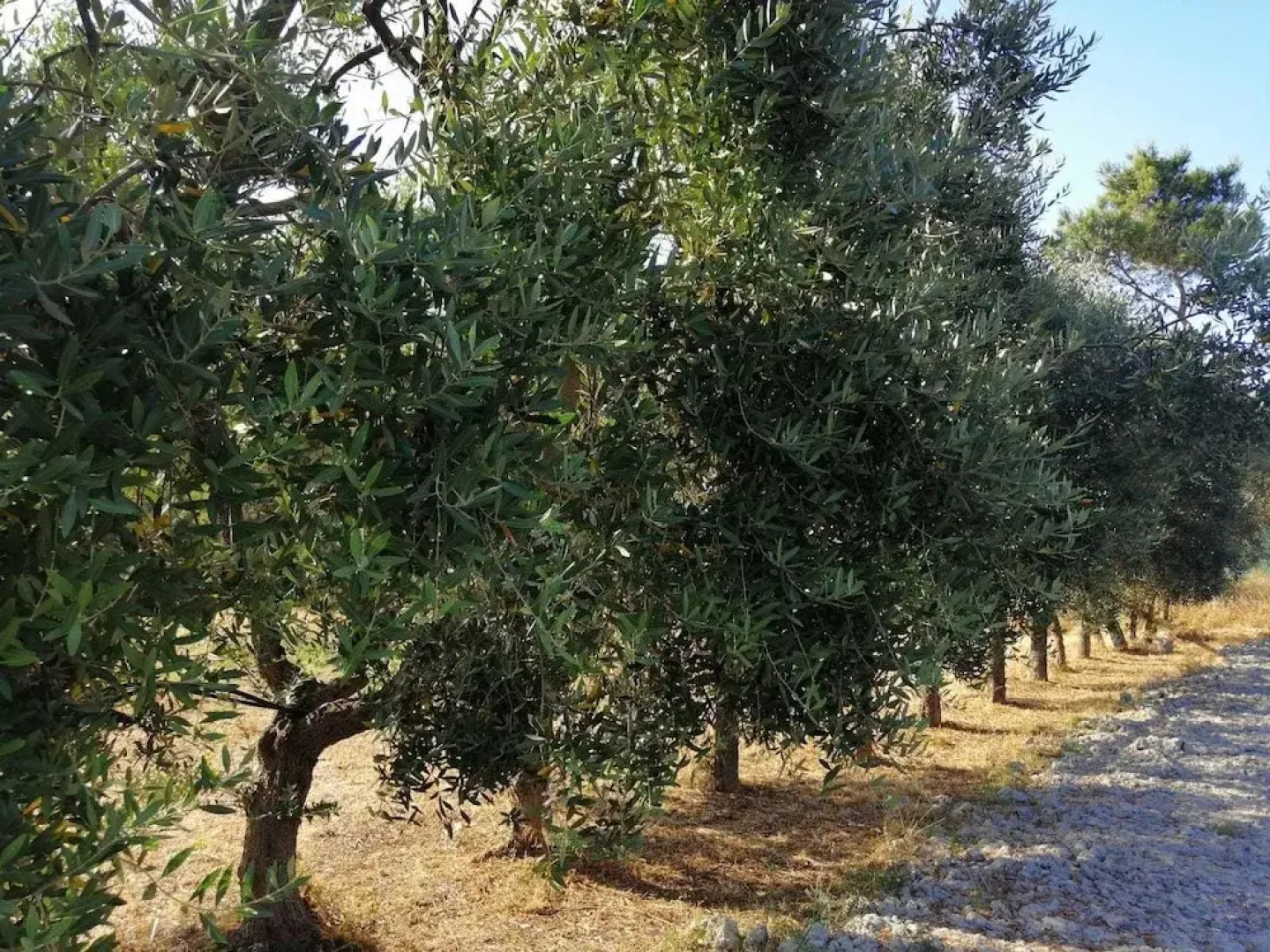 Relais Villa Gandoli