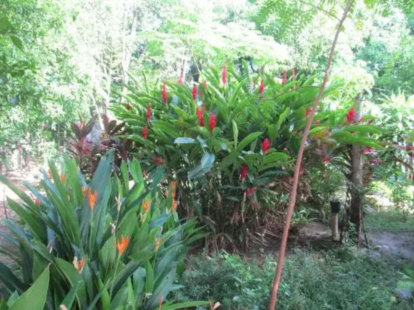 Hostel Backpacagers And Travelers