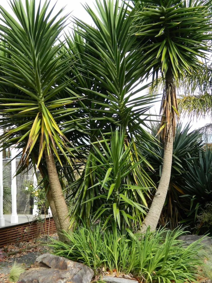 The Villa Bed And Breakfast