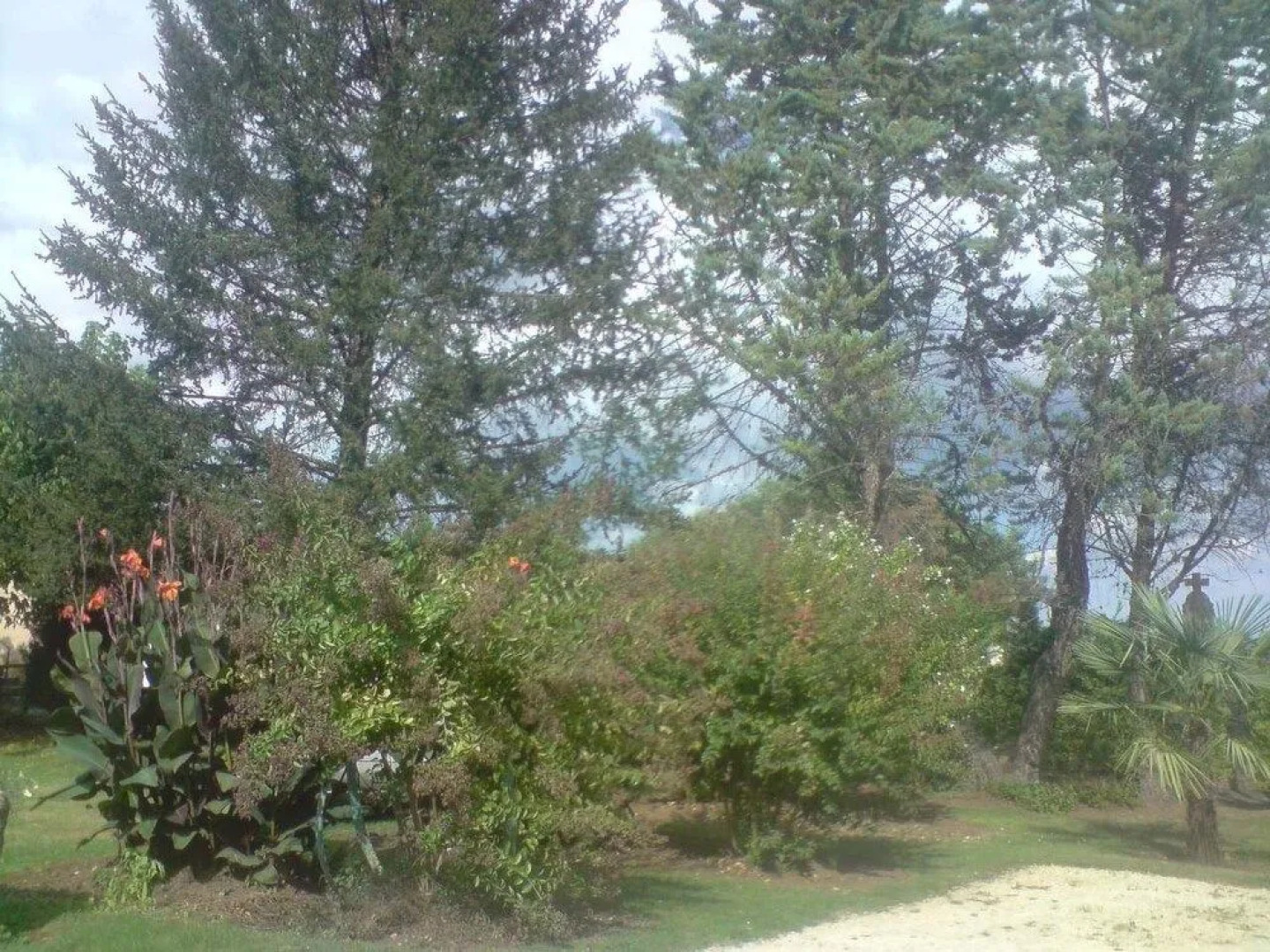 Chambres d'hôtes la Licorne