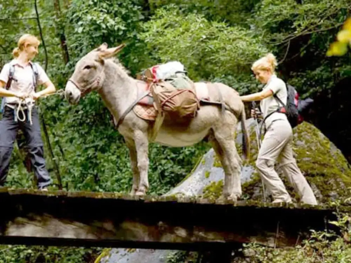 Holiday Apartment Waldquartier Wackerberg