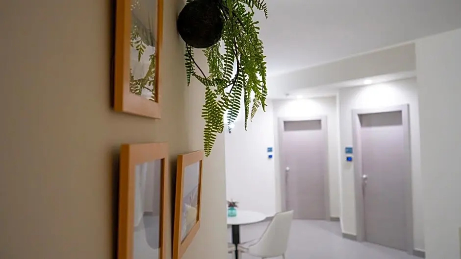 Aurora Bed and Breakfast