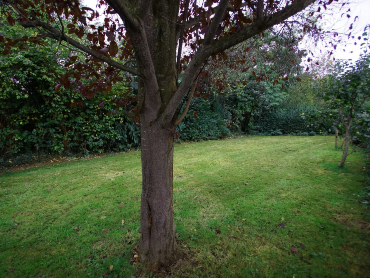 Holiday Home Yr Hen-Ryd