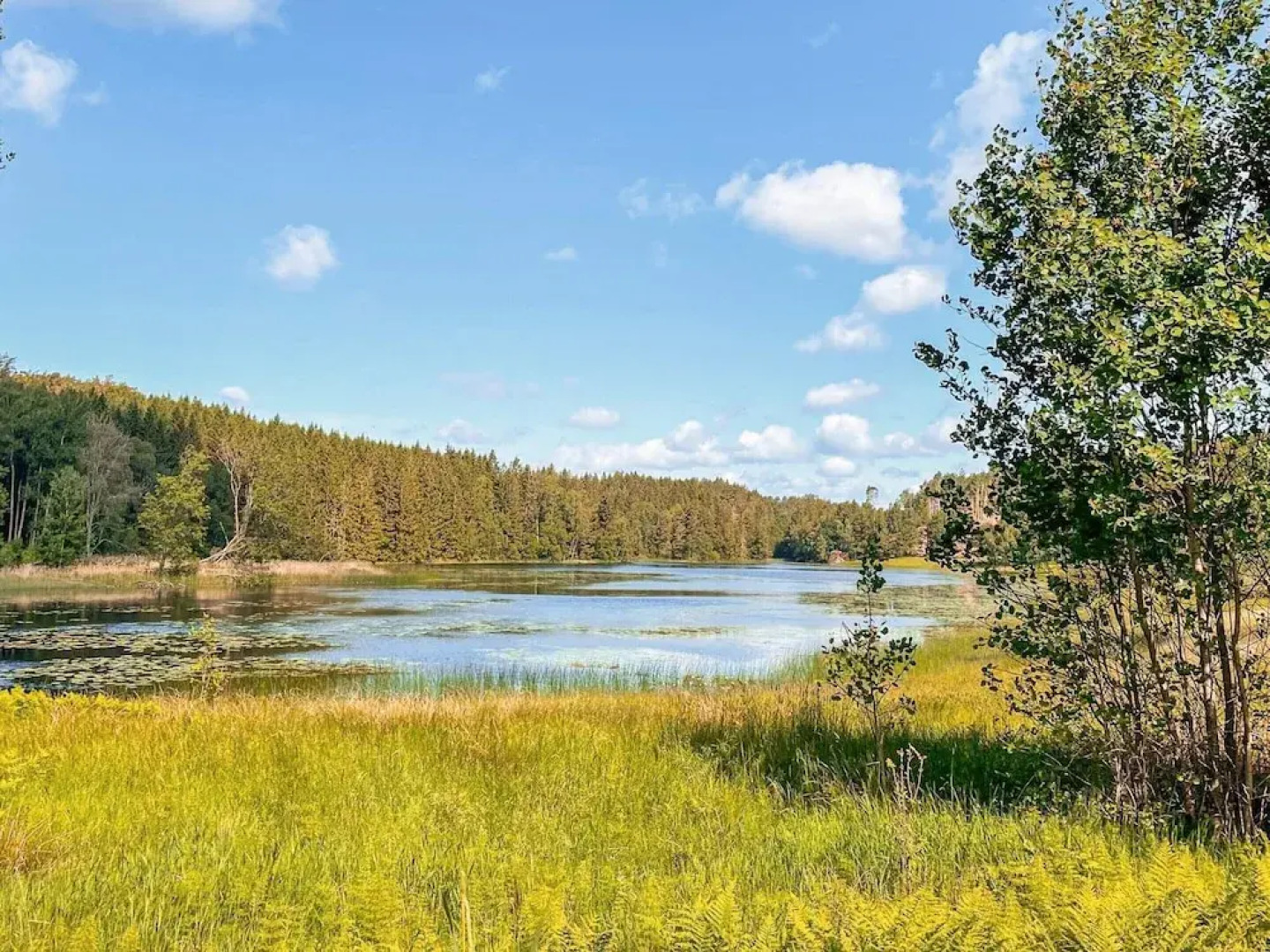 4 Star Holiday Home in Ljungskile