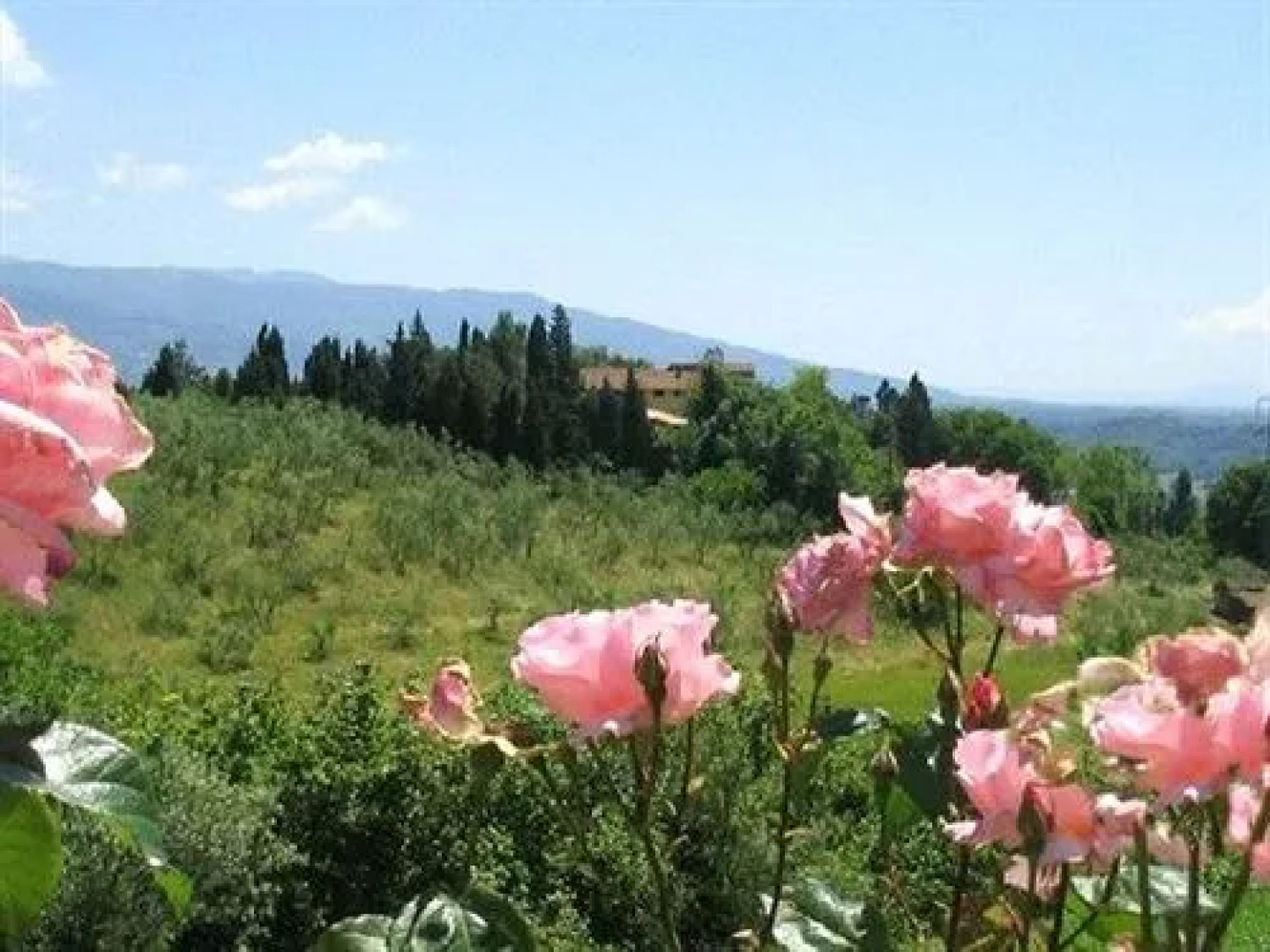 Agriturismo Bellavista