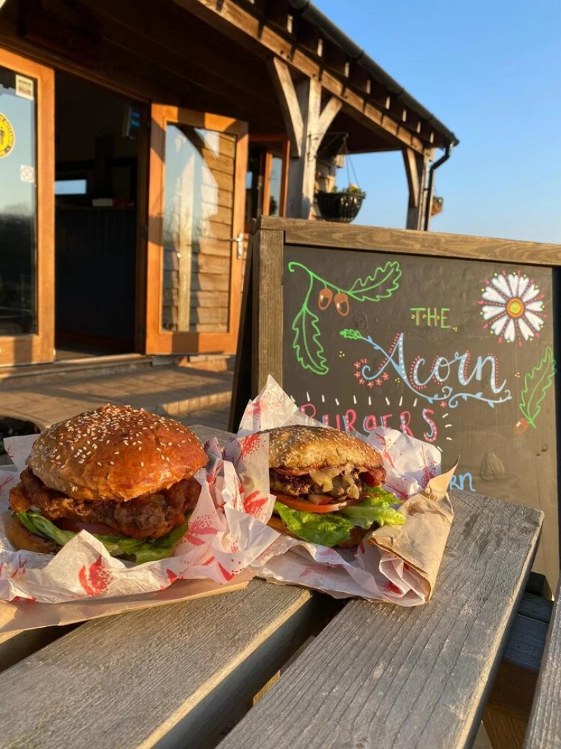 Beech Pod Cabin in Beautiful Surroundings Wrexham