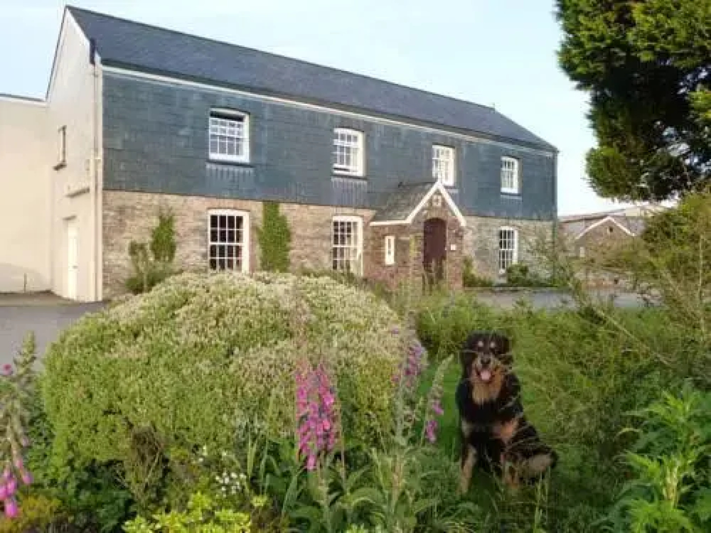 Twitchen Farm