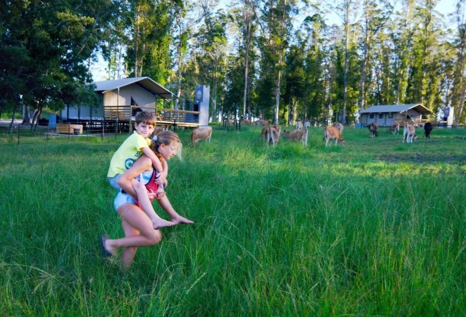 AfriCamps at Oakhurst- Glamping