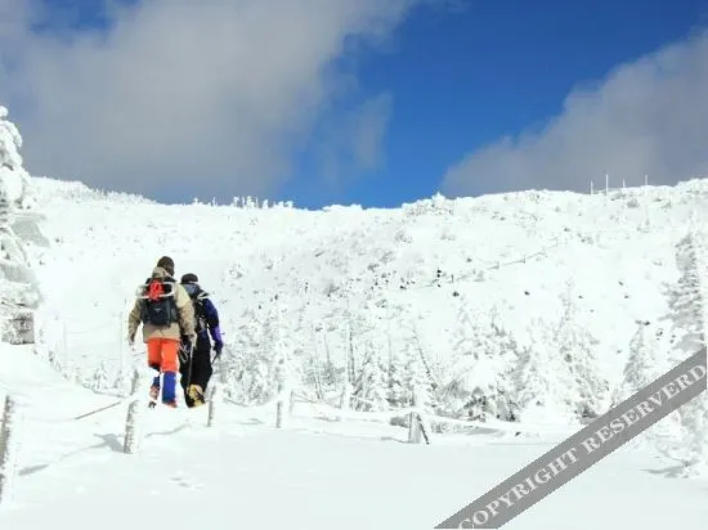 Tengu Onsen Asama Sanso