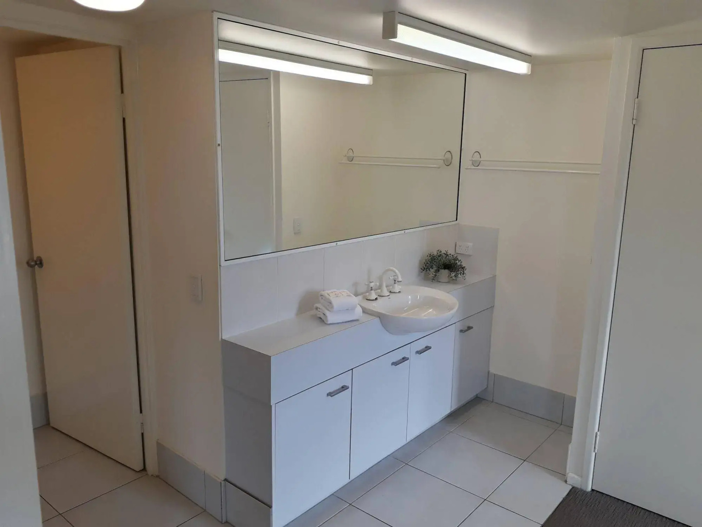 Pandanus Coolum Beach