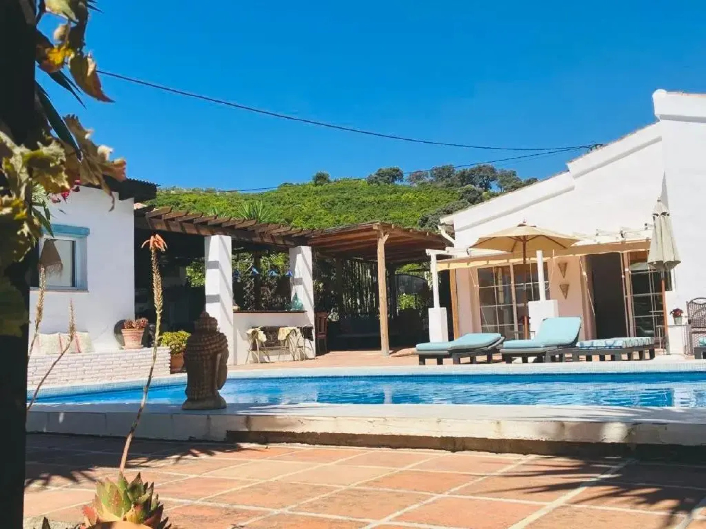 Finca del Gecko