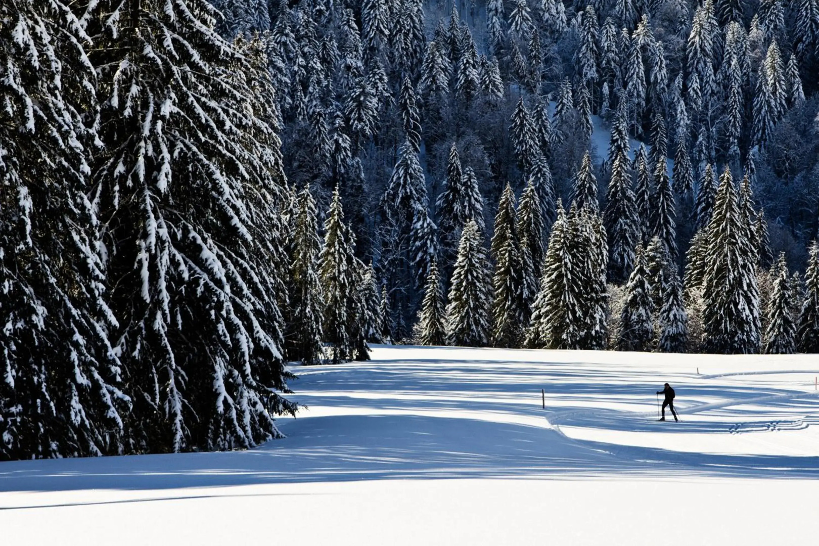 Balance Resort Ifenblick