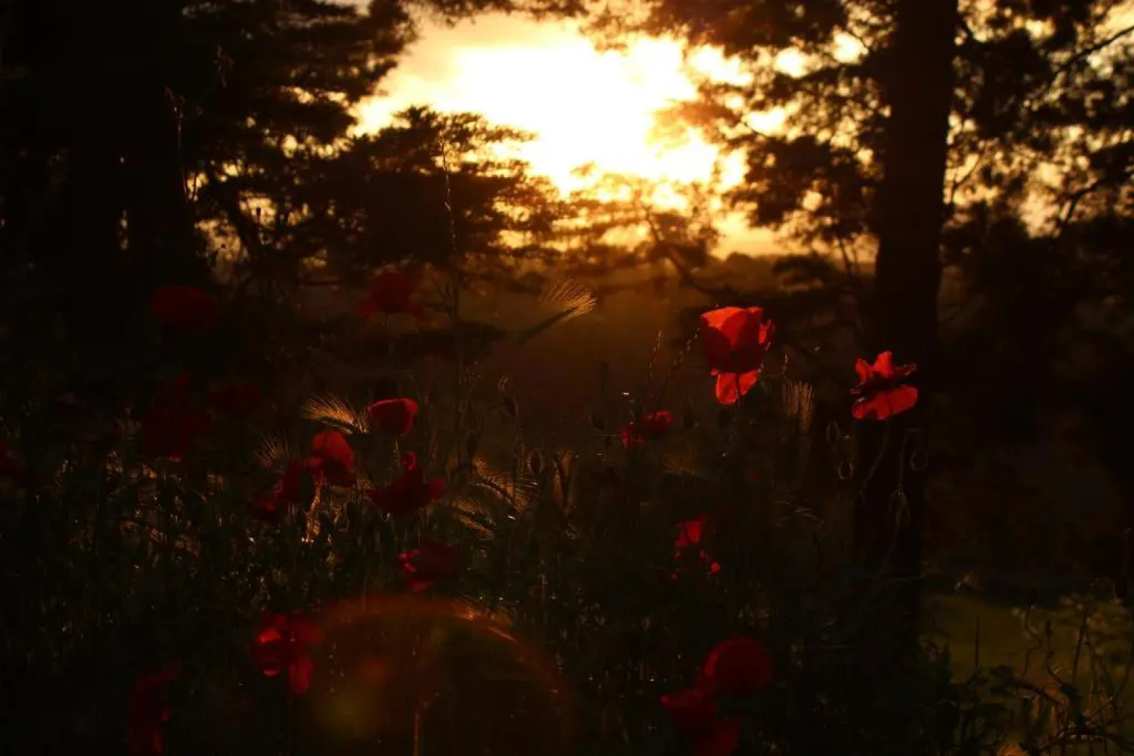 Villa Mirella Country House