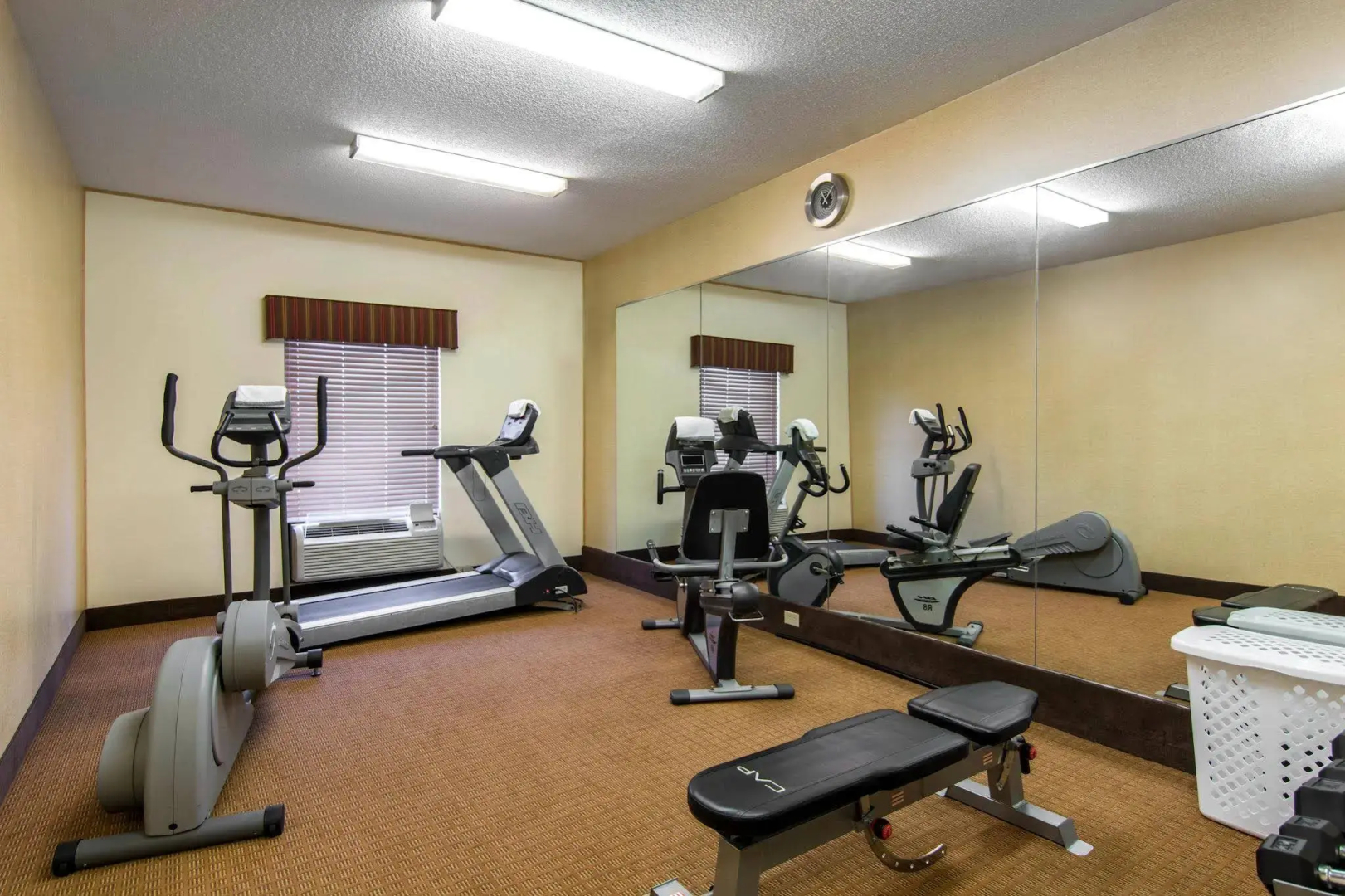 Sleep Inn & Suites Prince George near Fort Lee
