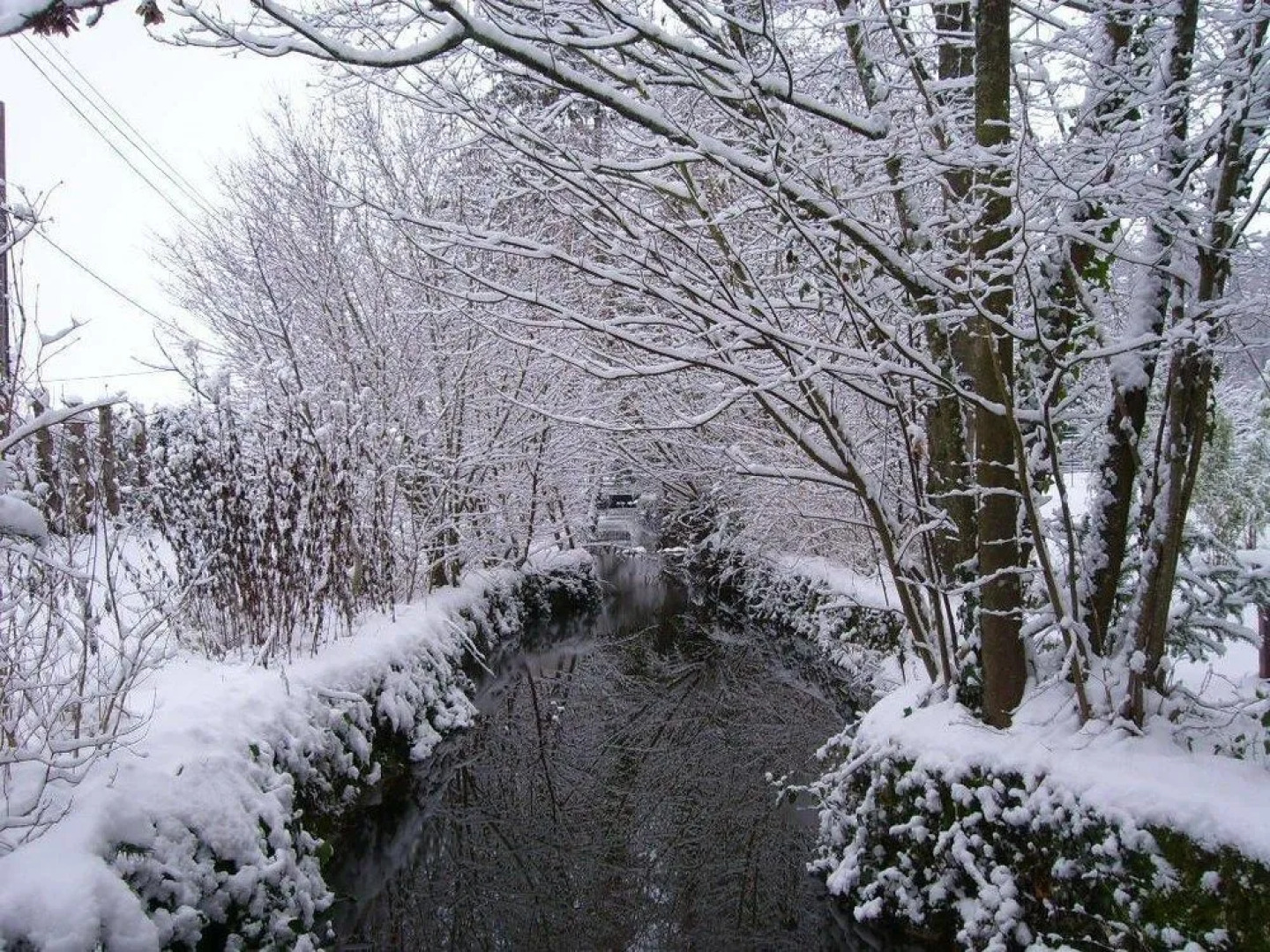 Residence Les Cedres