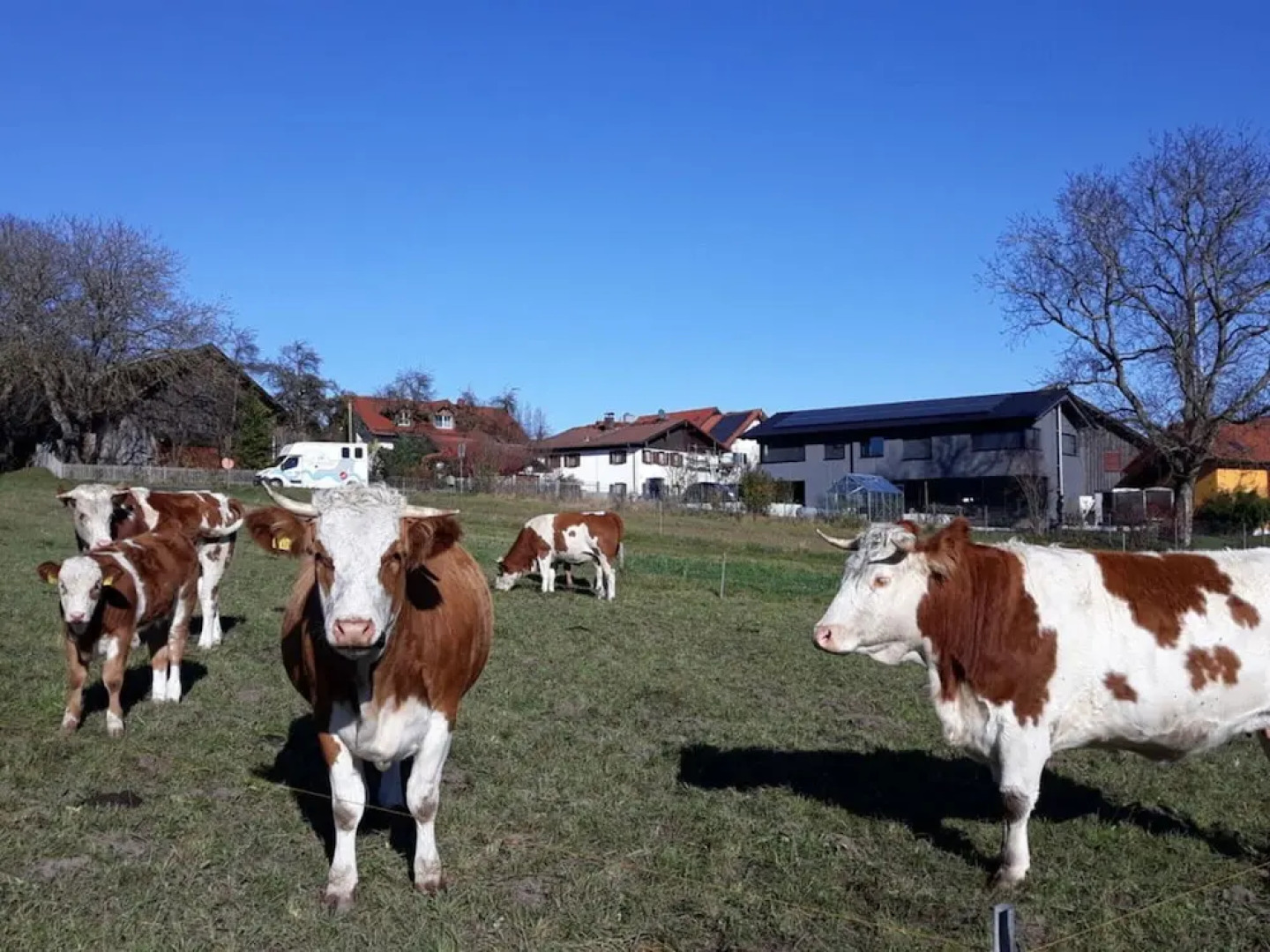 Schleichhof Ammersee
