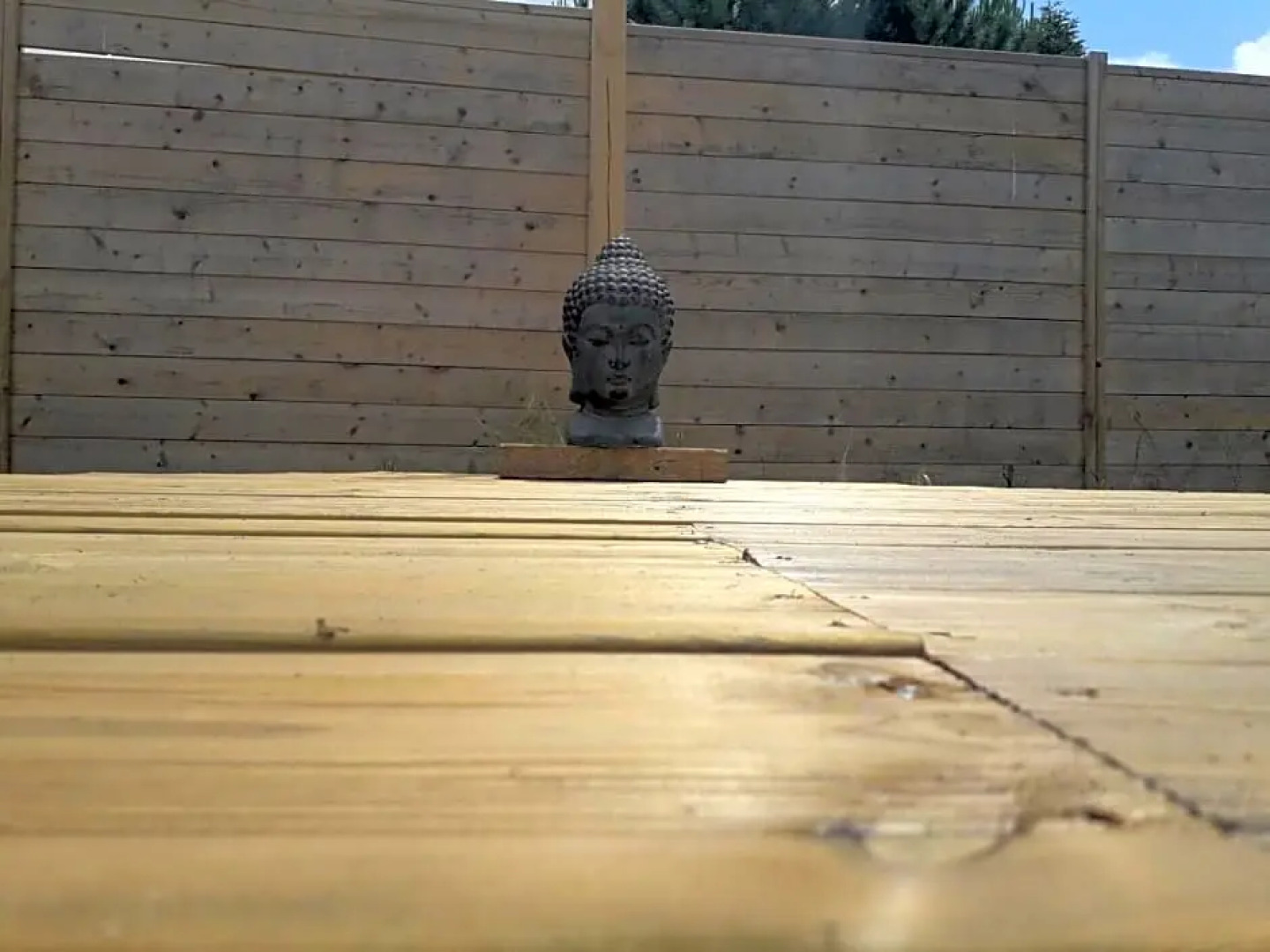 Alma Libre Yoga & Surf House