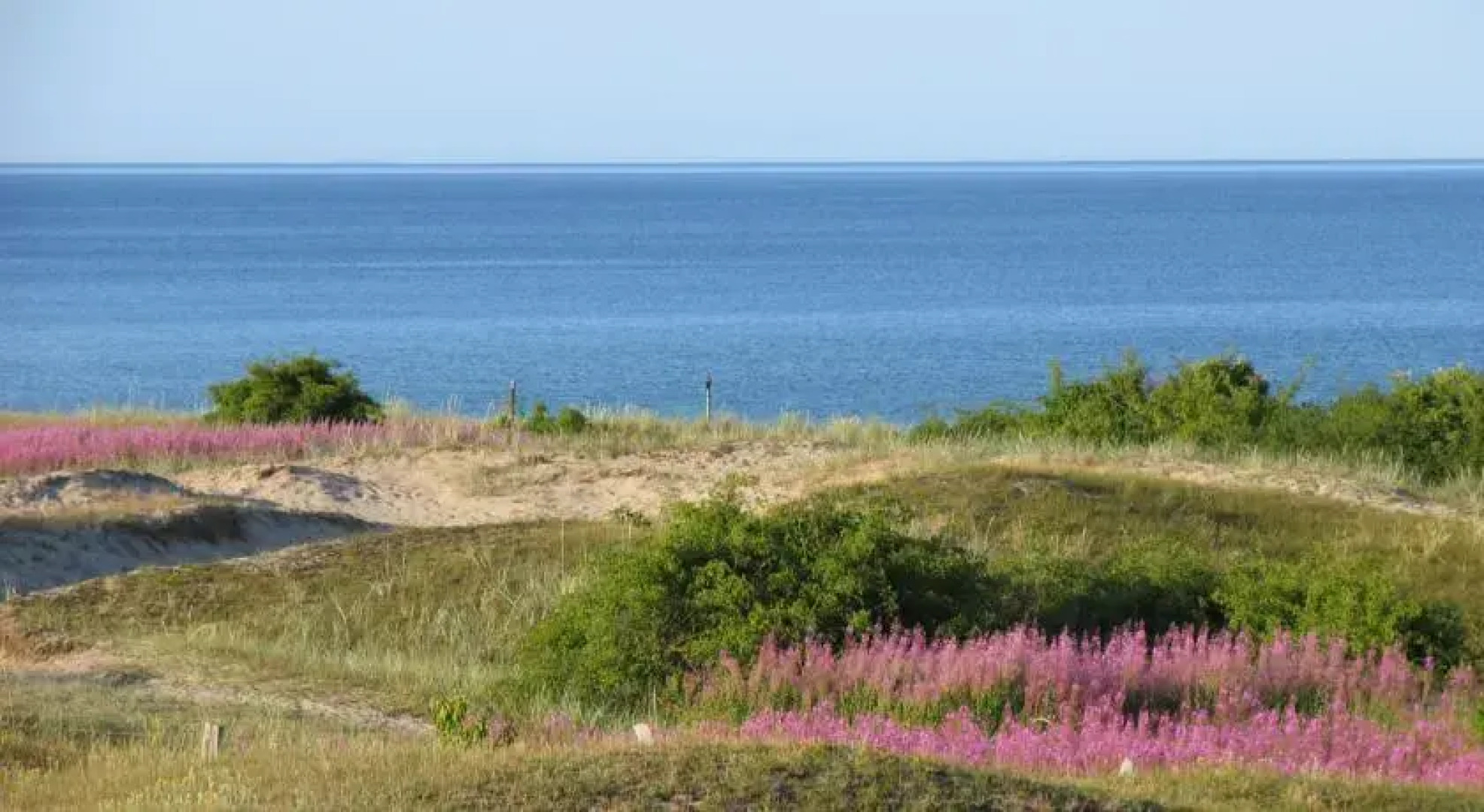 Vitemölla Badhotell