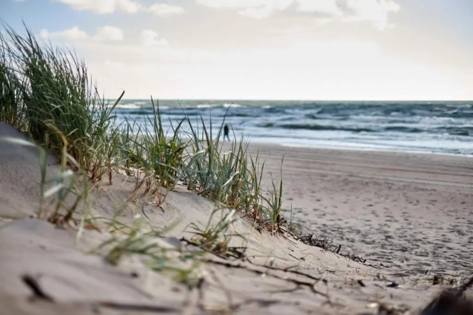 No.1 Apartment in Palanga, Vaivorykštės Apartment