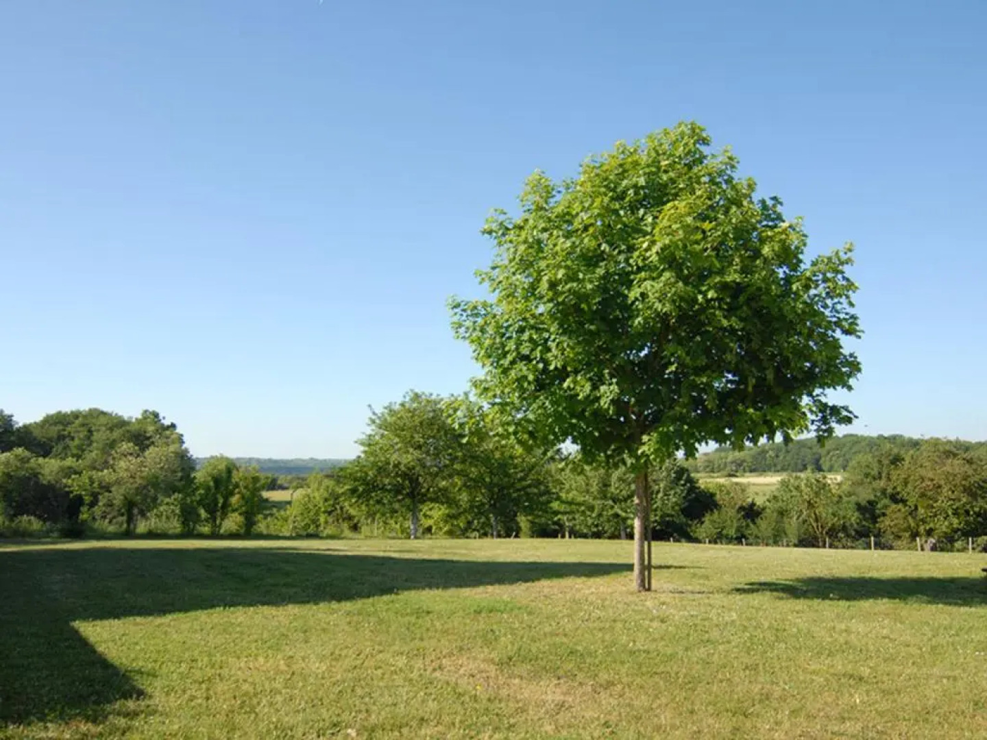 Gîte Cangey, 3 pièces, 5 personnes - FR-1-381-357