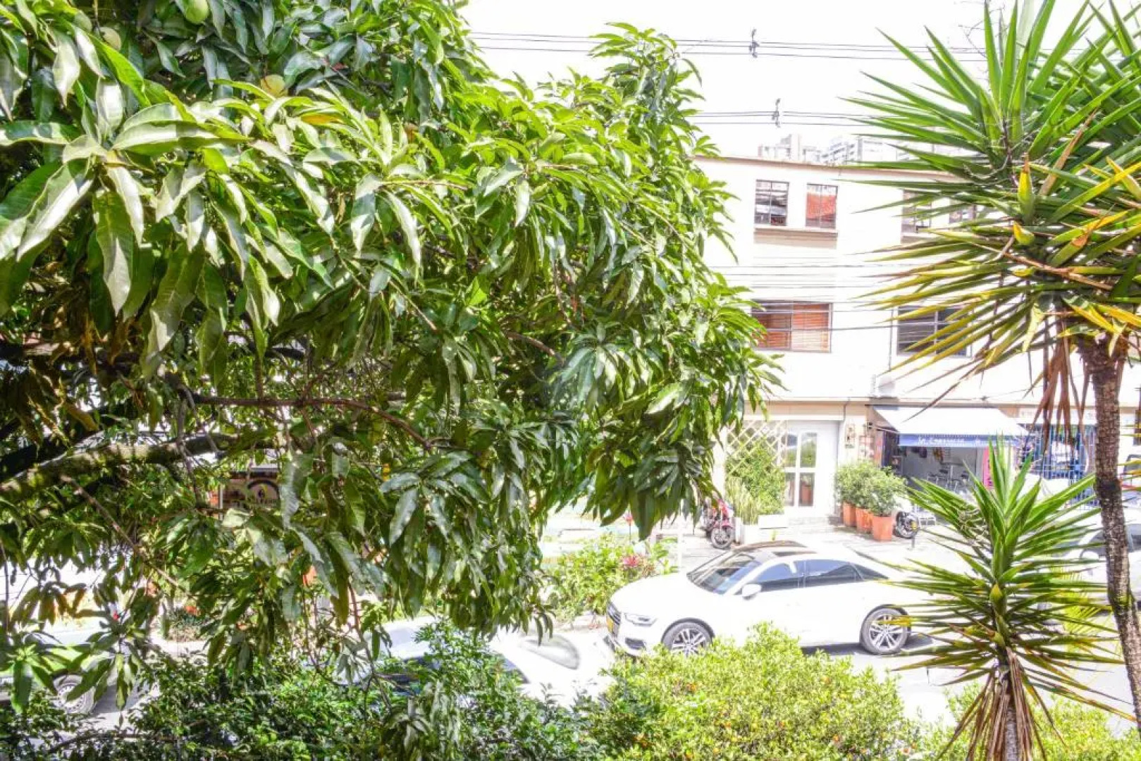 Apartment El Jeffe Medellin