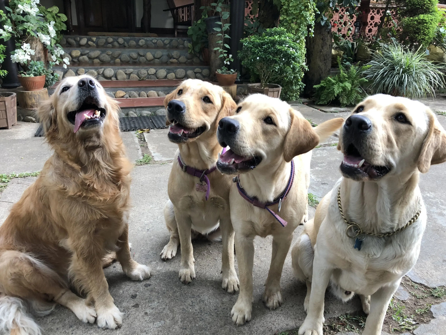 Tranquil Resort - BluSalzz Collection, Wayanad