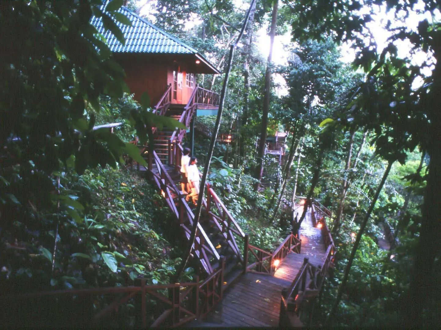 Tabin Wildlife Resort