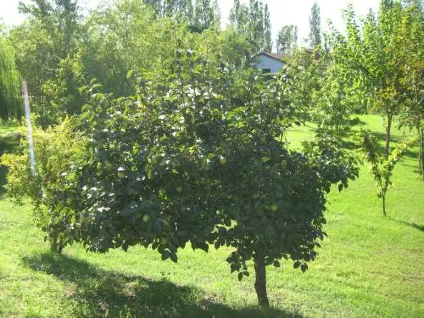 La Corte Bed & Breakfast