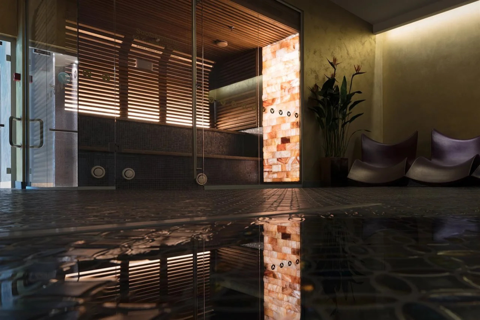 Спа- и конференц-отель V