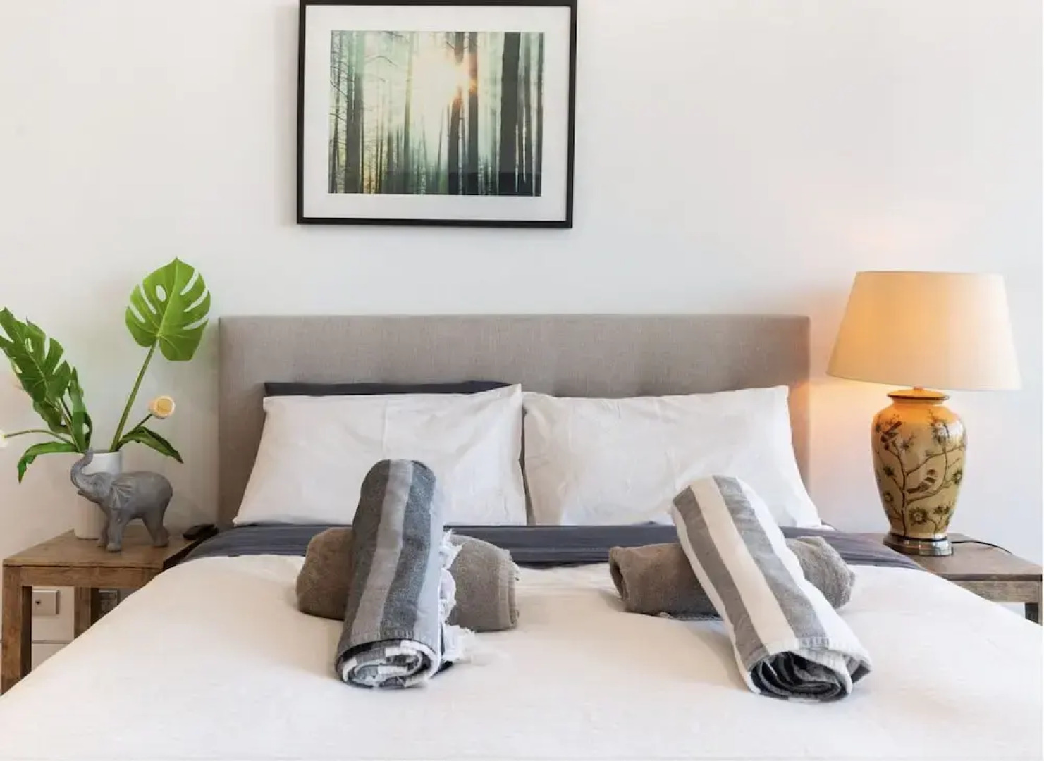 Bellevue Hill Designer