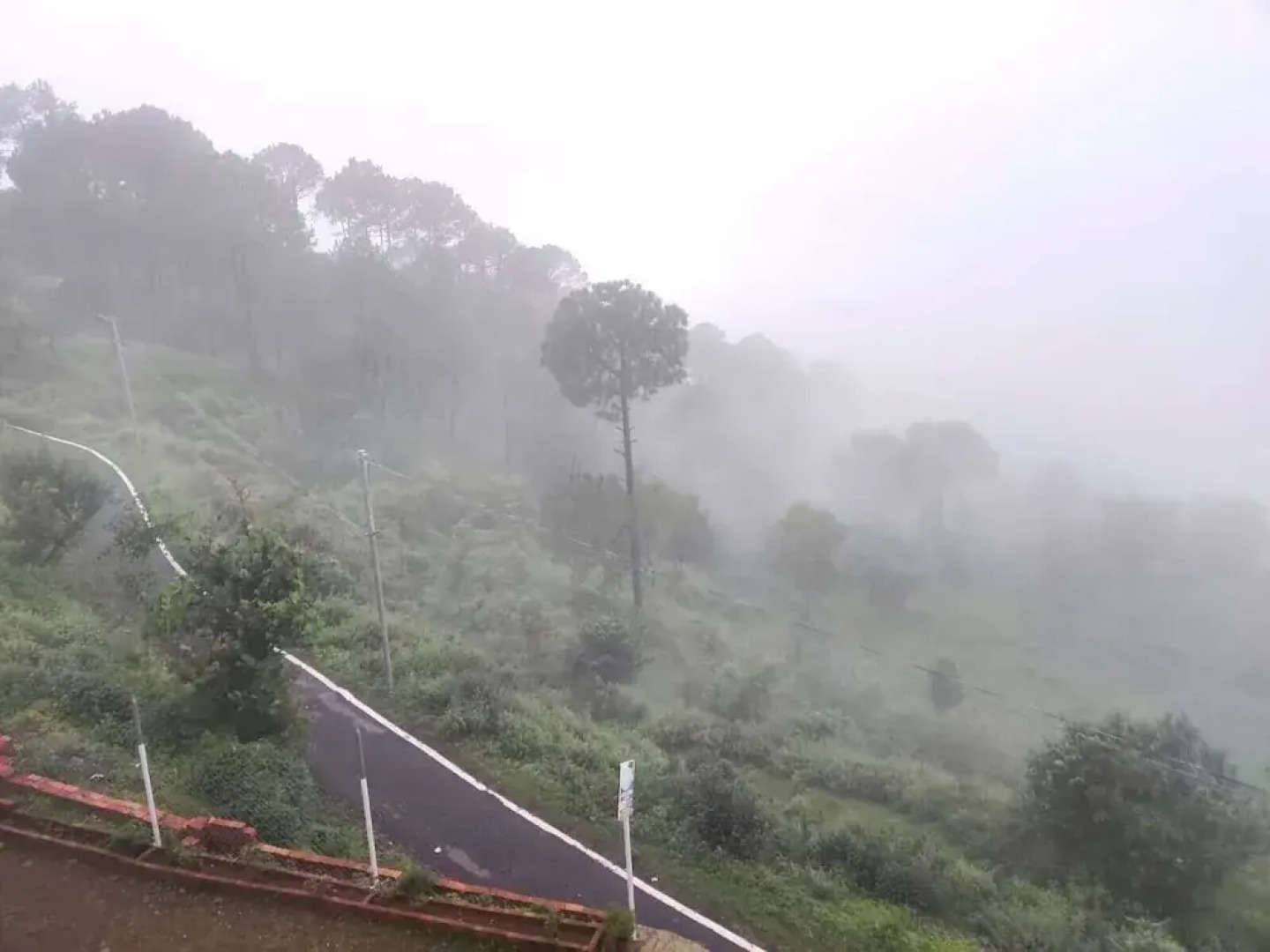 Jaitak Resort By Pine