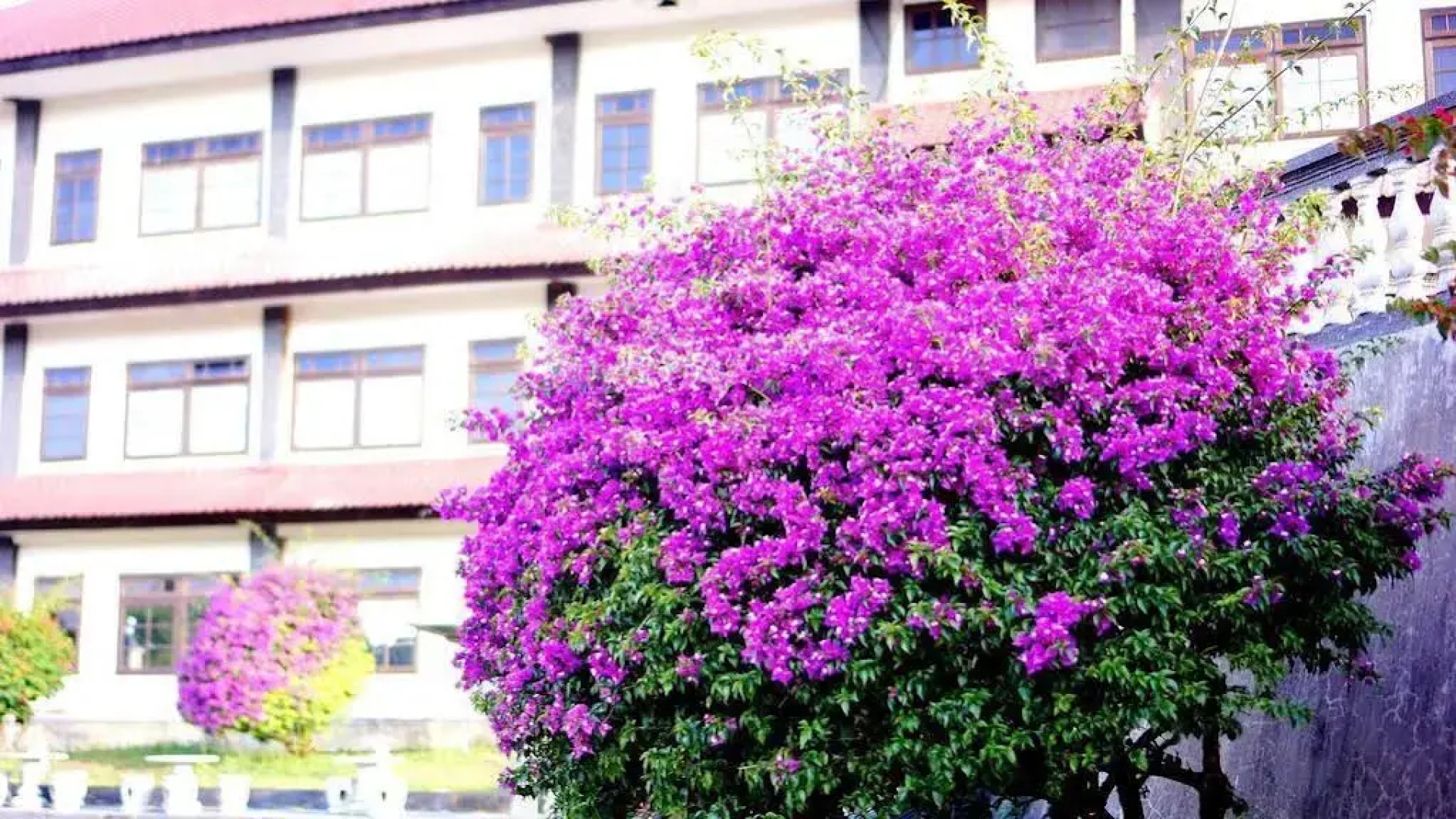 Puri Bening Lake Front Hotel