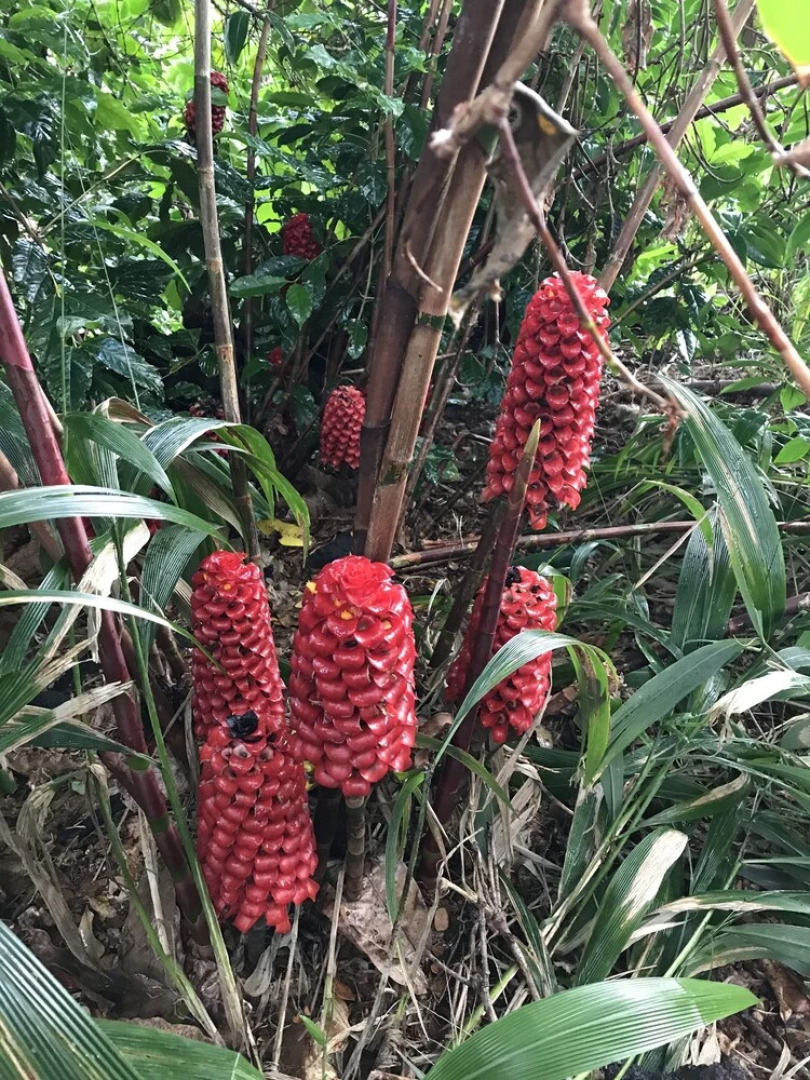 SweetSpotStay-Enchanted Grotto