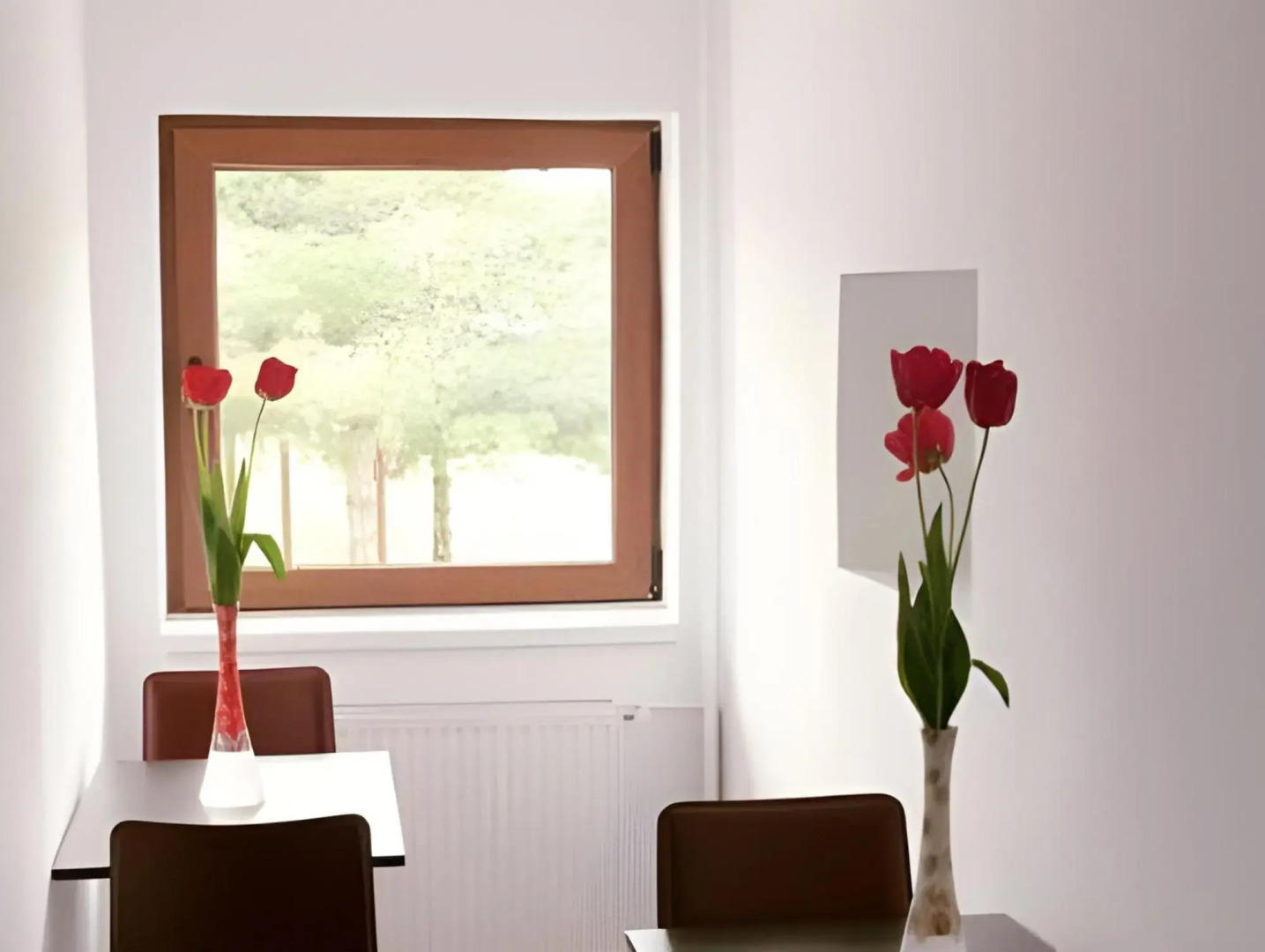 Hotel Timisoara Sannicolau Mare