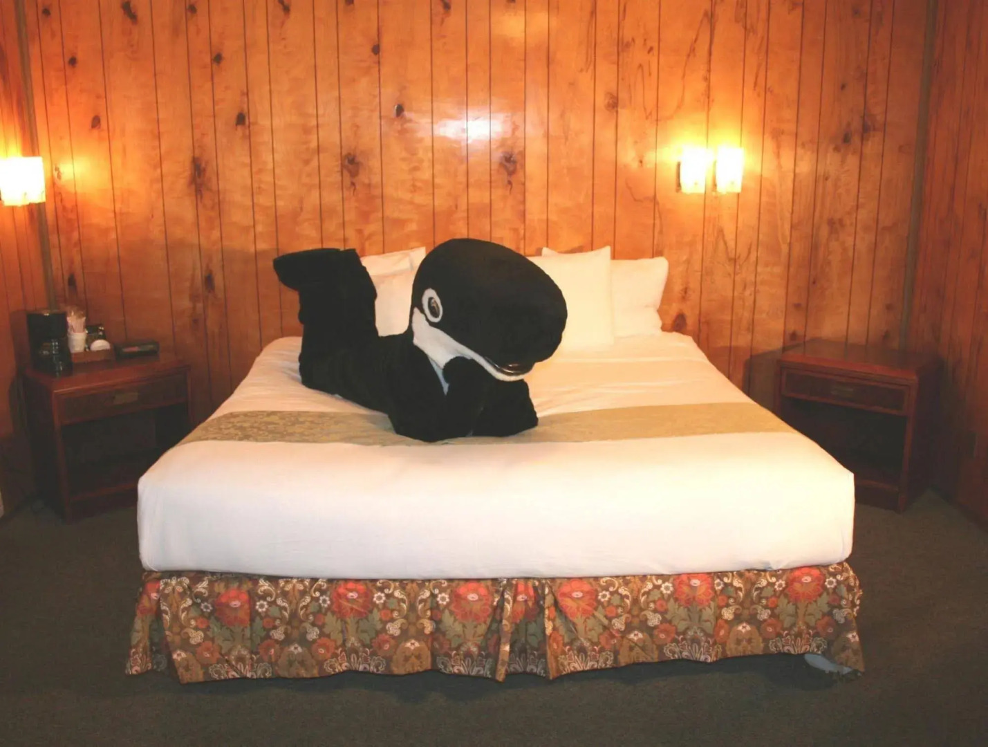 The Orca Inn
