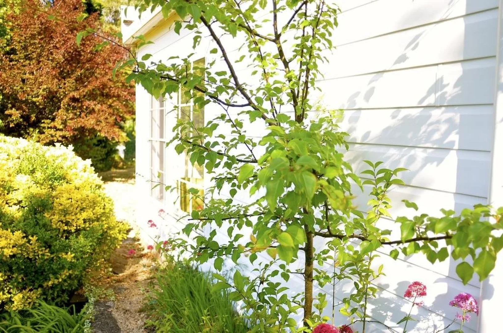 The Glasshouse Boutique Accommodation