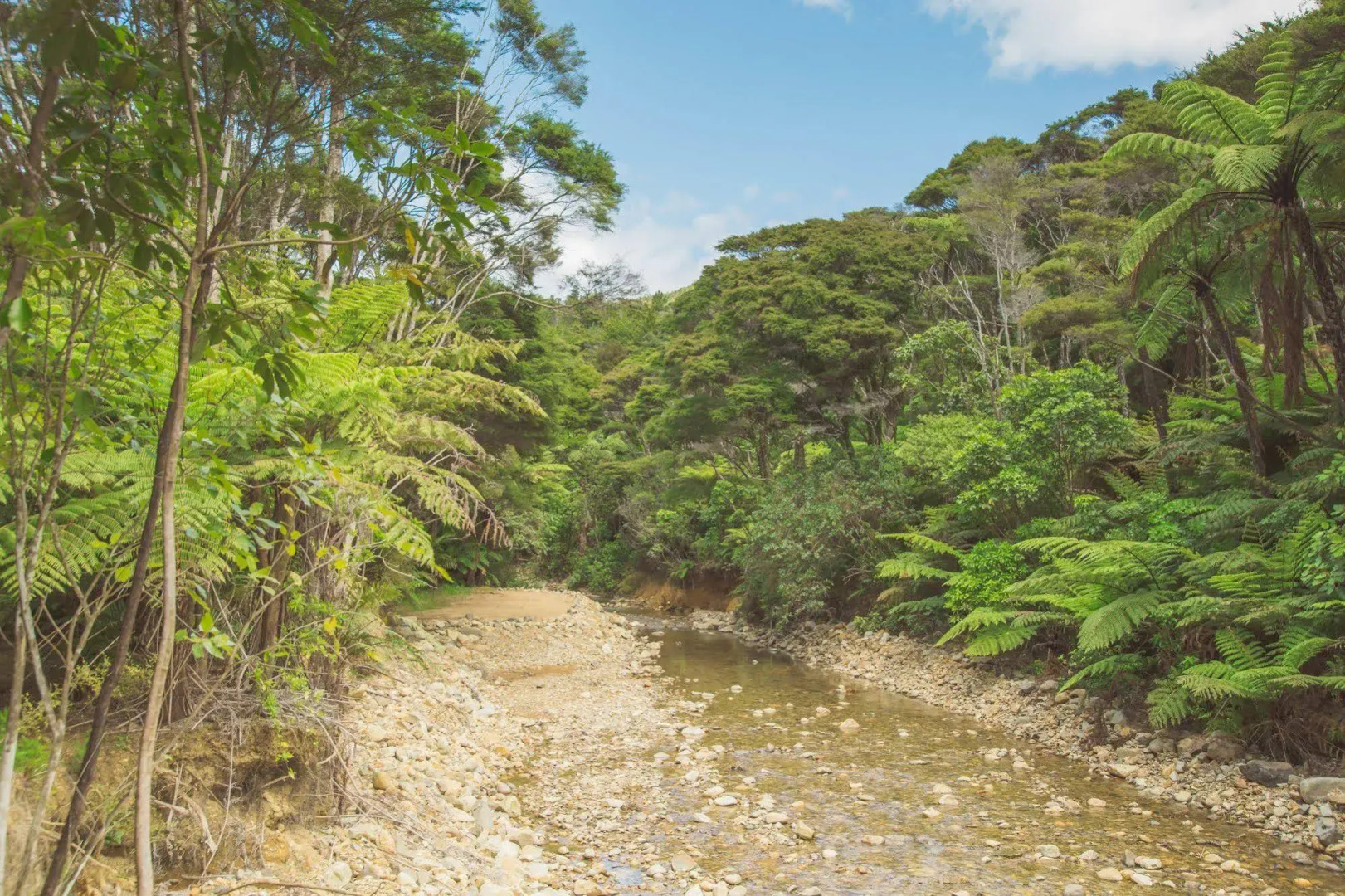 Tangiaro Kiwi Retreat