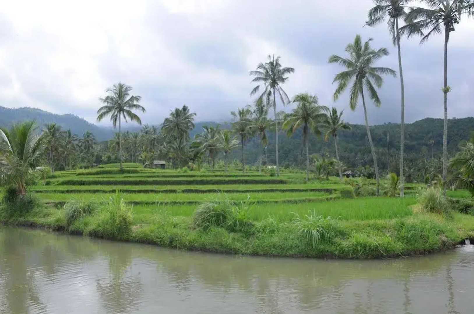 Puri Sunny Guesthouse