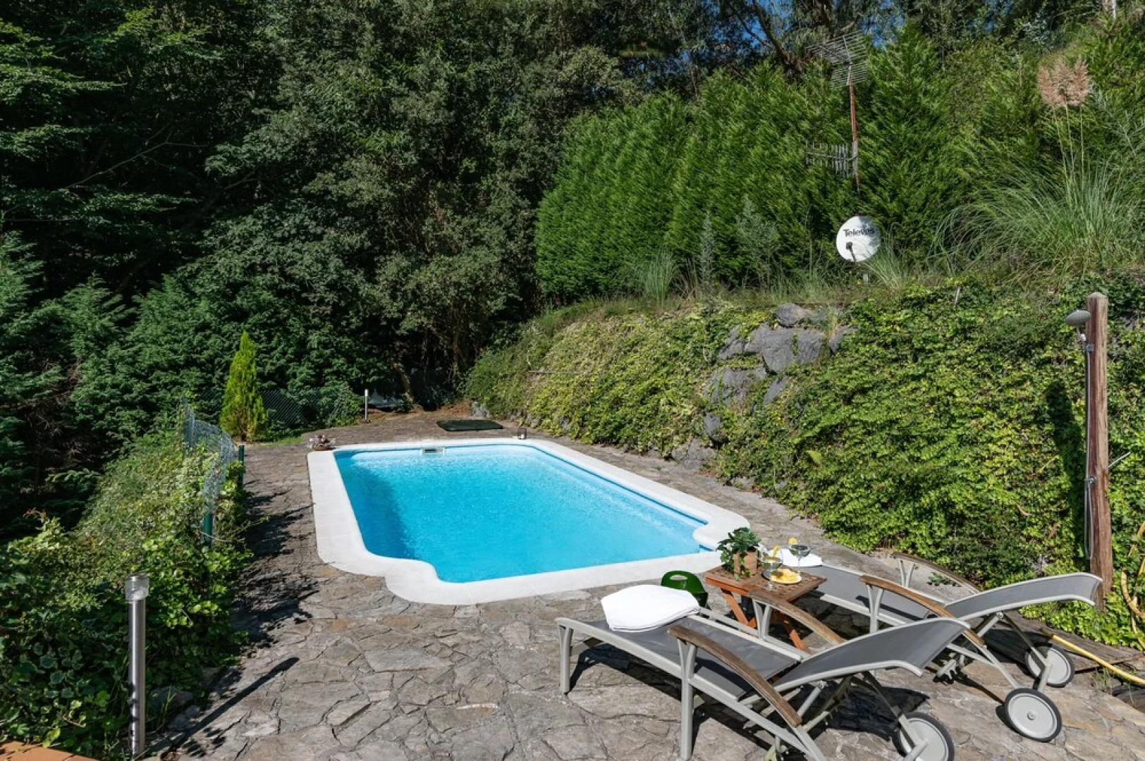 Fidalsa Living the Dream