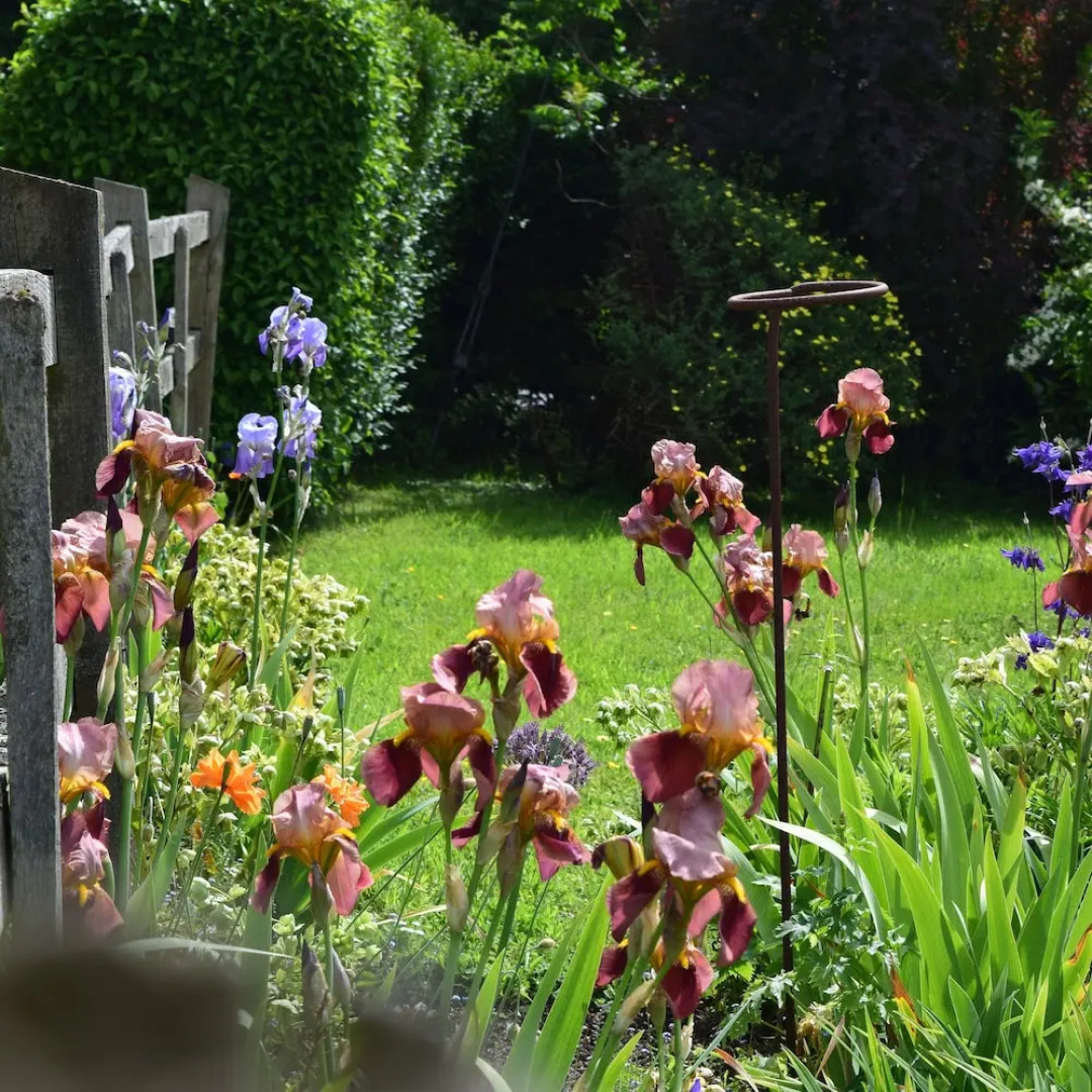 Sandhurst Farm Forge