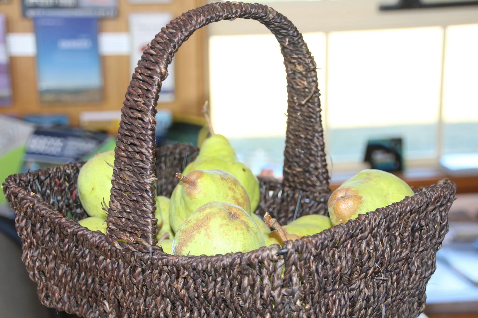 Swansea Cottages & Lodge Suites