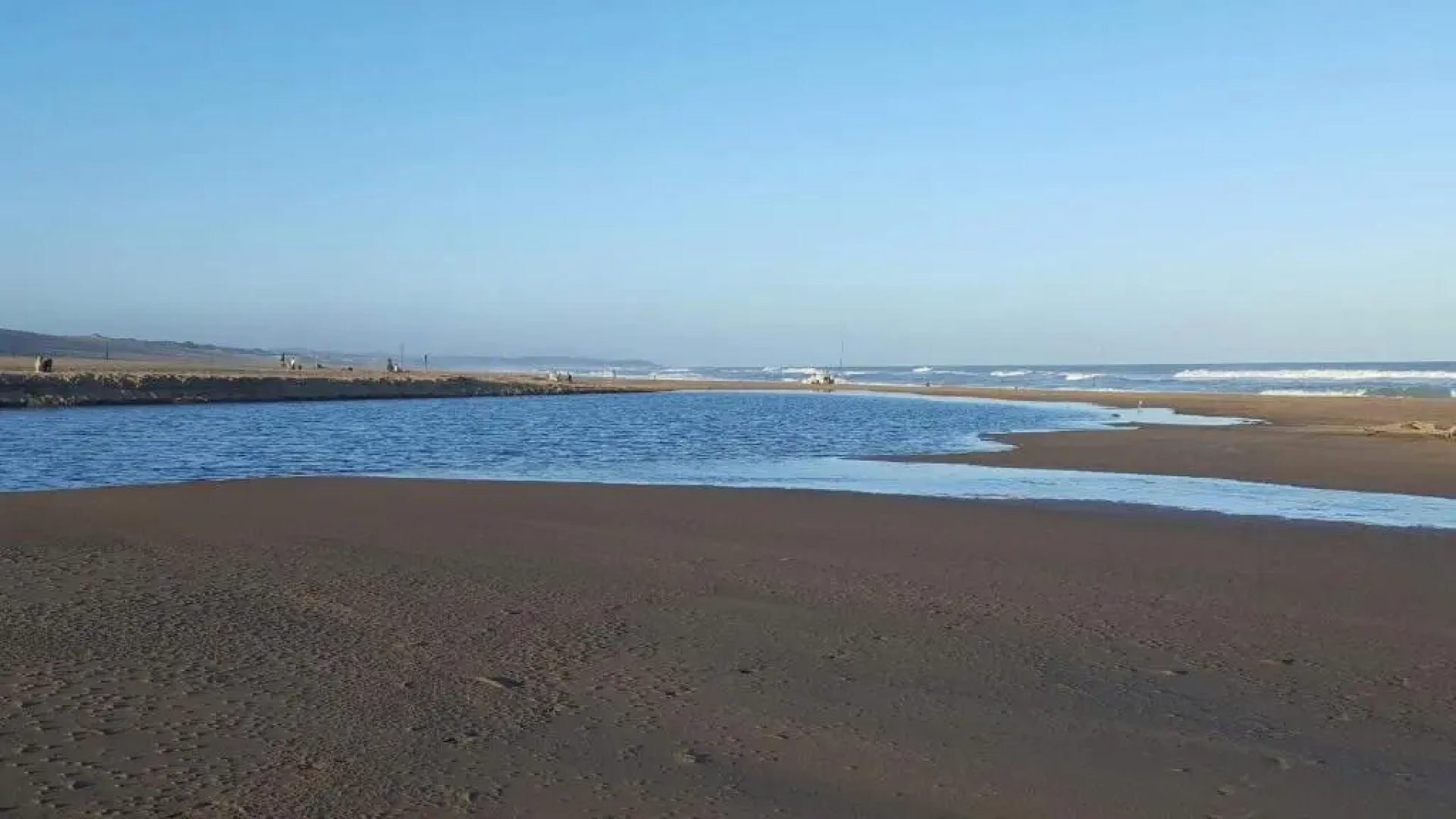 Raphia on Sea