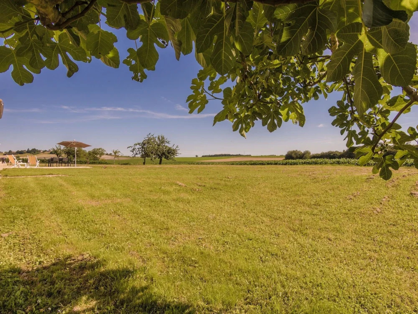 Charming holiday home in Aquitaine with Swimming Pool