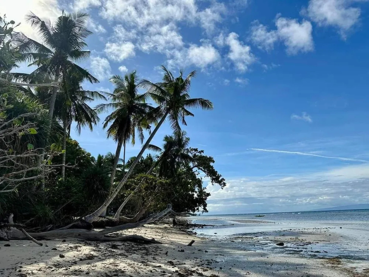 Kalachuchi Beach Resort