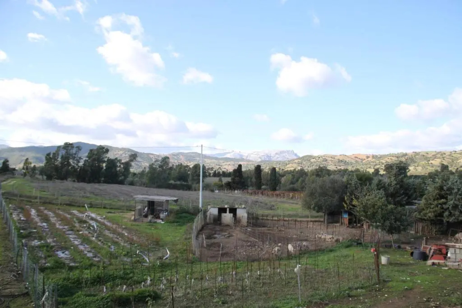 Agriturismo Su Pinnatu