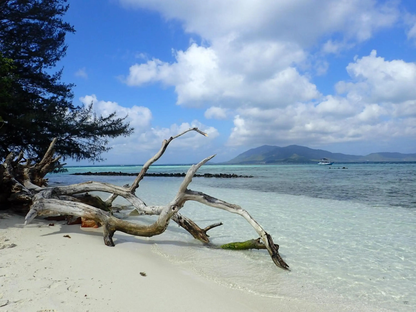 Ayu Hotel Karimunjawa
