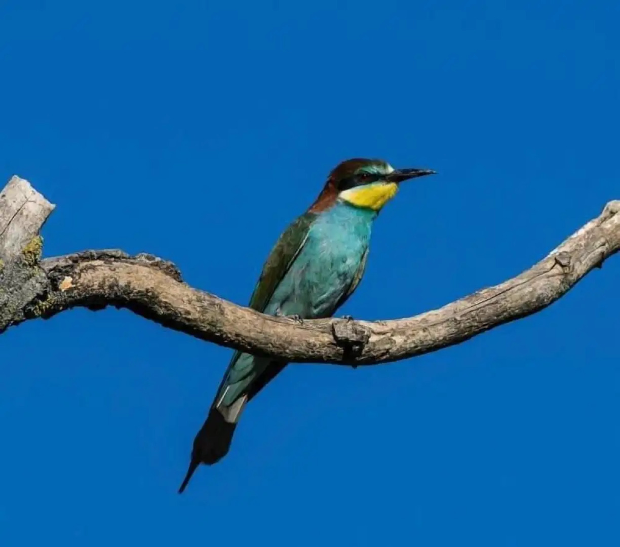 Art-be-and-b Bed and Breakfast