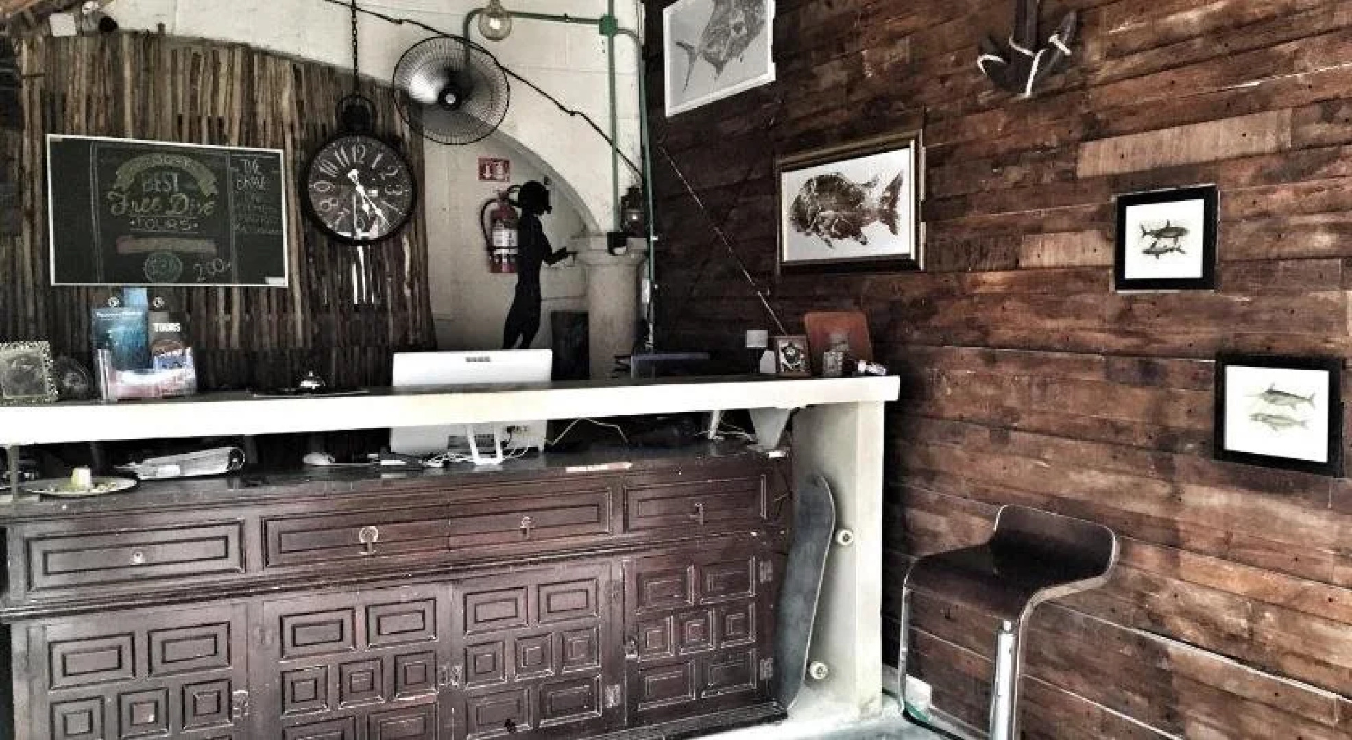 Lobo de Mar Hostel Playa del Carmen